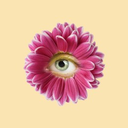 Image of Bright flower with eye inside on beige background. Creative collage