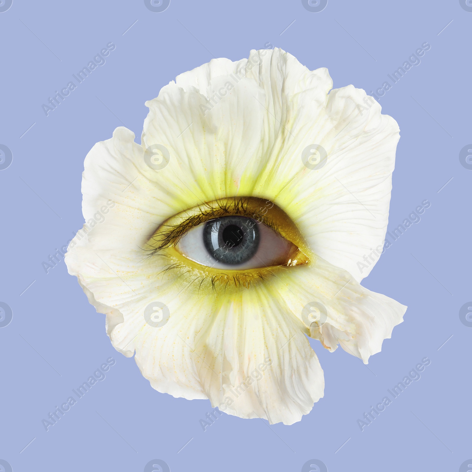 Bright flower with eye inside on color background. Creative collage Image of Bright flower with eye inside on color background. Creative collage