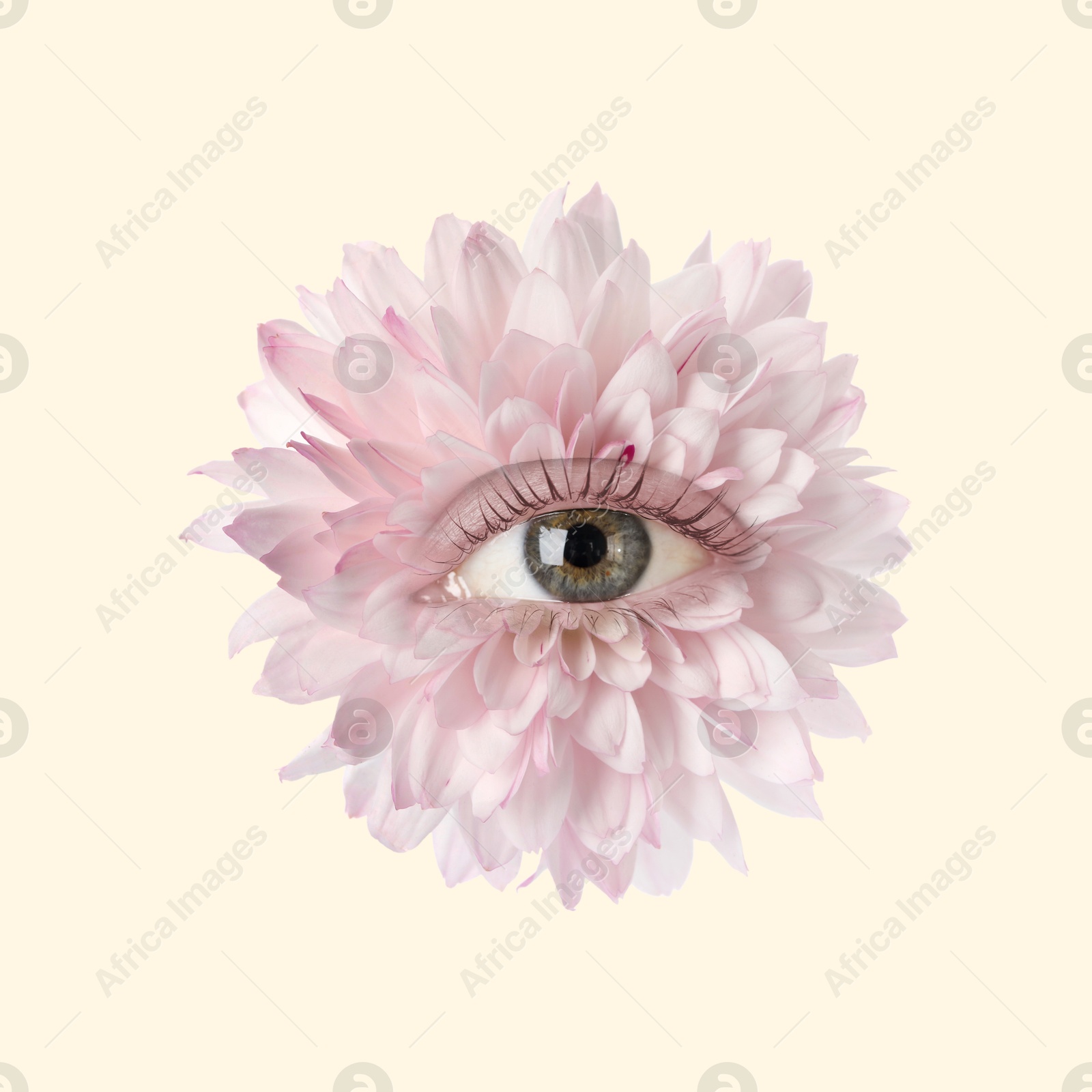Bright flower with eye inside on beige background. Creative collage Image of Bright flower with eye inside on beige background. Creative collage