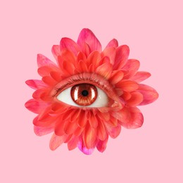 Image of Bright flower with eye inside on pink background. Creative collage