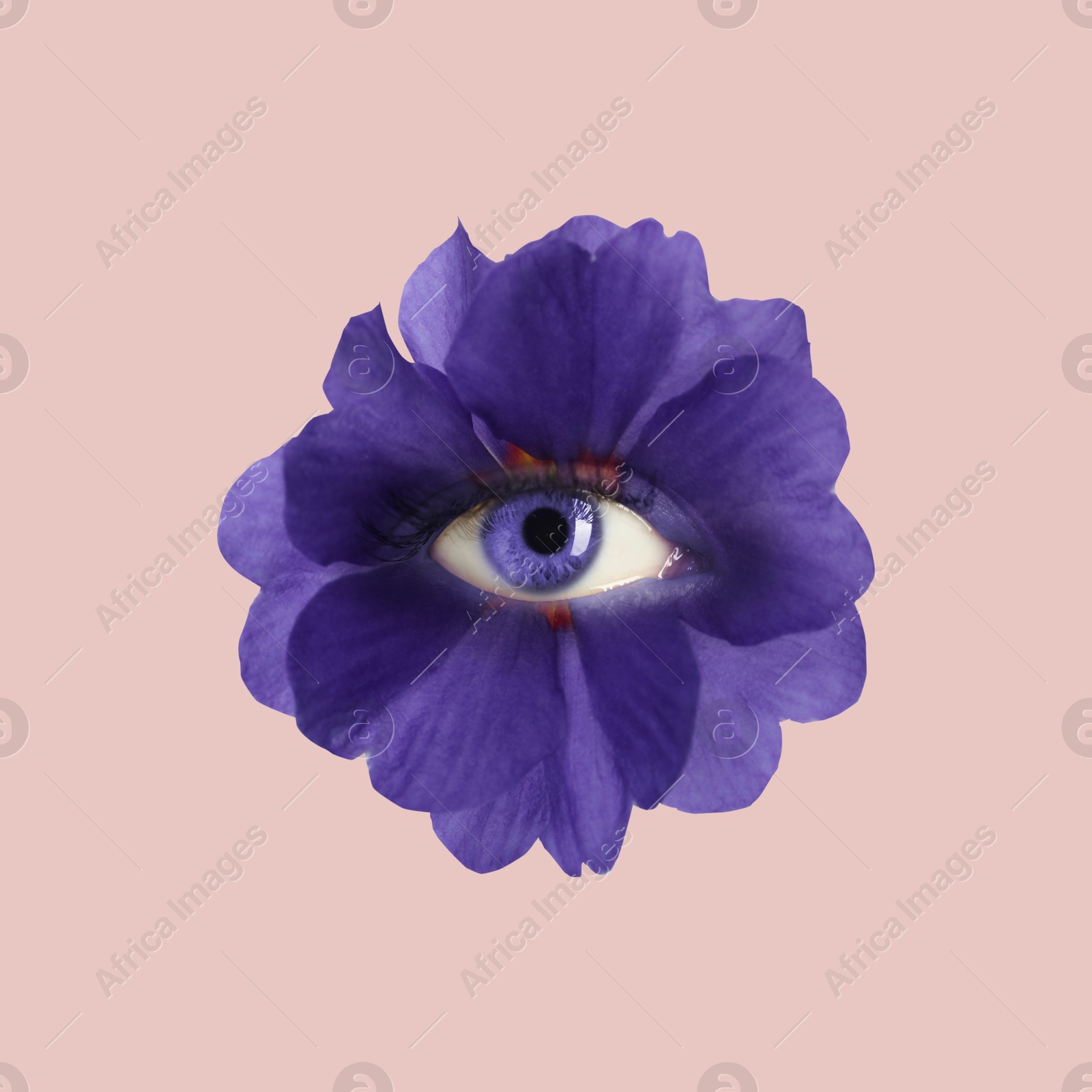 Bright flower with eye inside on beige pink background. Creative collage Image of Bright flower with eye inside on beige pink background. Creative collage
