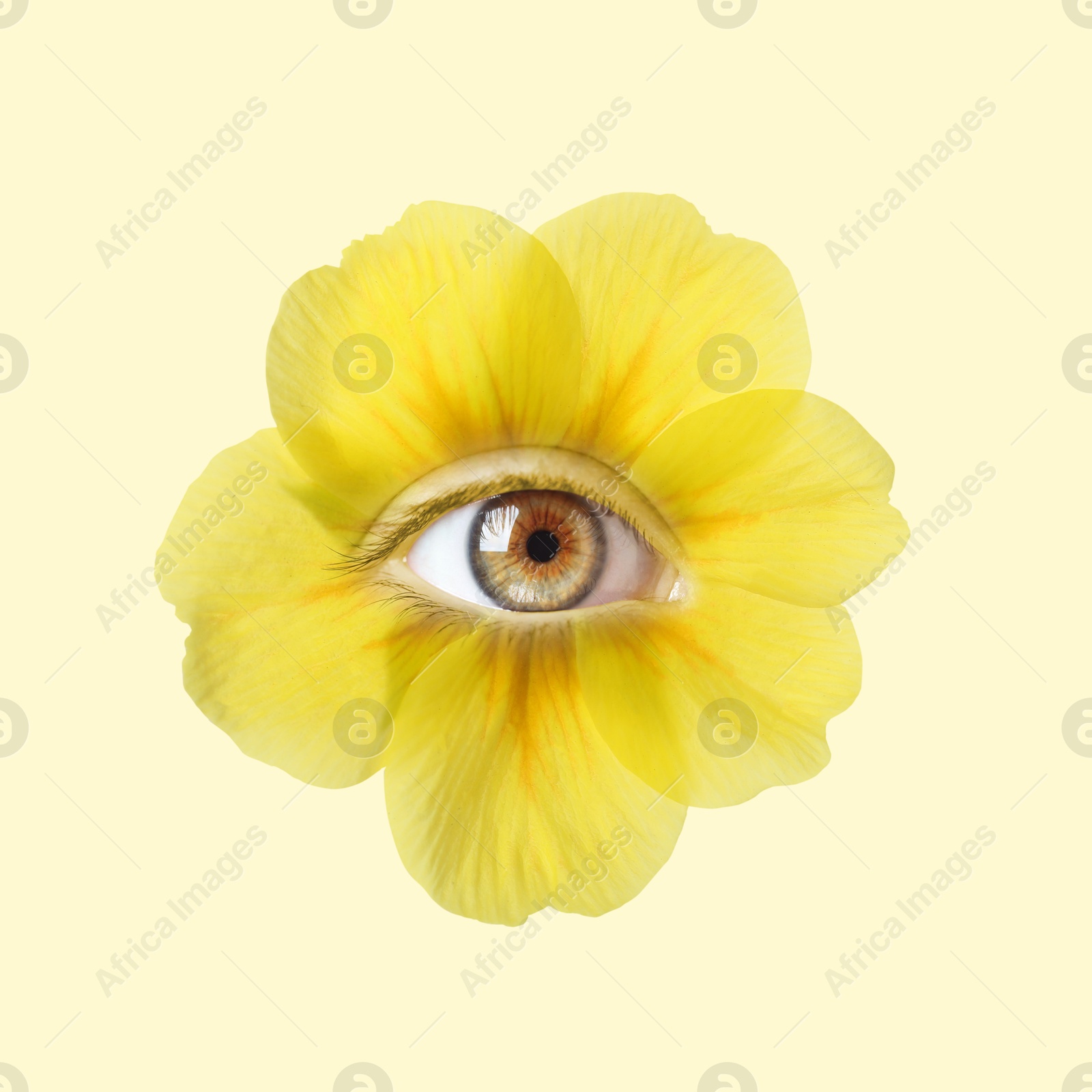Yellow flower with eye inside on beige background. Creative collage Image of Yellow flower with eye inside on beige background. Creative collage
