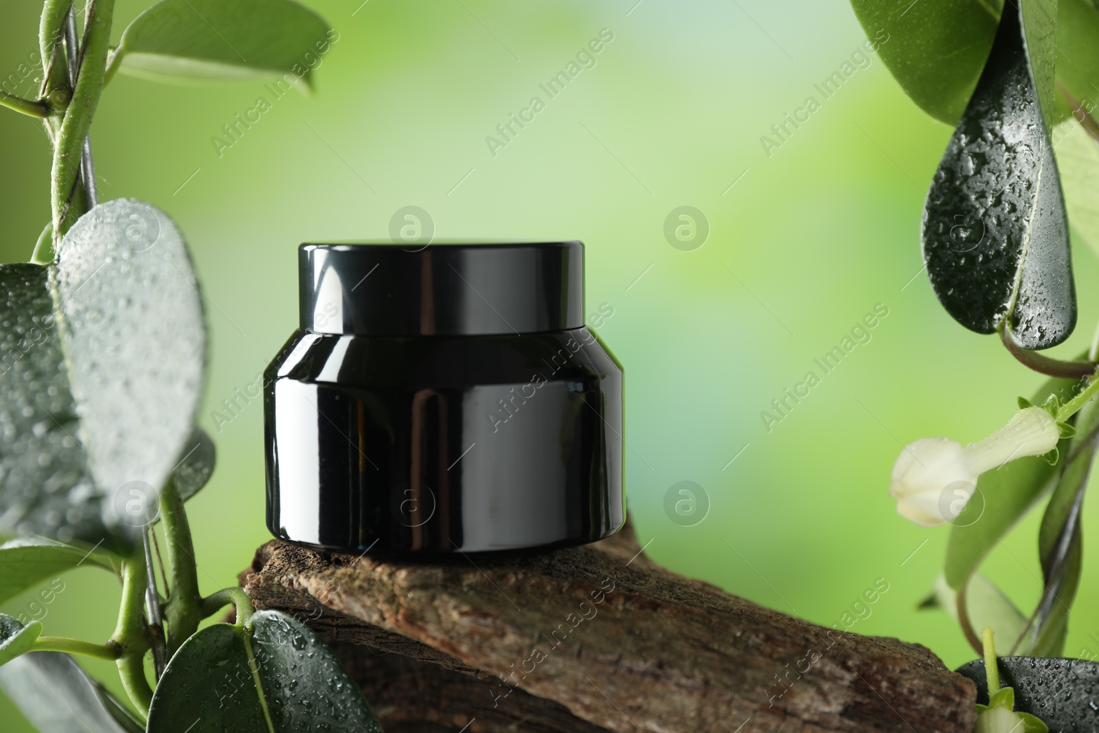 Jar of body cream on tree branch against blurred background, closeup Photo of Jar of body cream on tree branch against blurred background, closeup