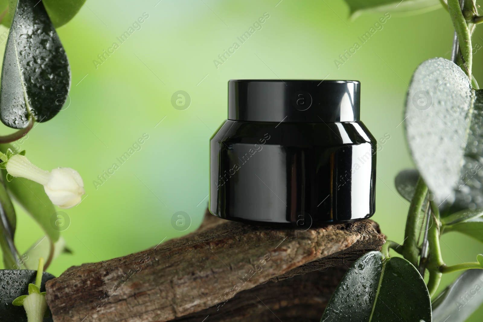 Jar of body cream on tree branch against blurred background, closeup Photo of Jar of body cream on tree branch against blurred background, closeup