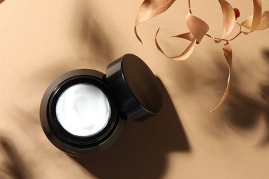 Photo of Jar of body cream and dry branches on beige background, top view
