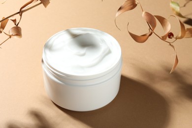 Photo of Jar of body cream and dry branches on beige background, closeup