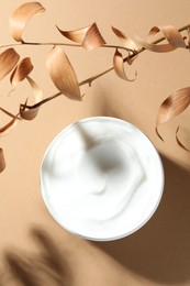 Photo of Jar of body cream and dry branches on beige background, top view