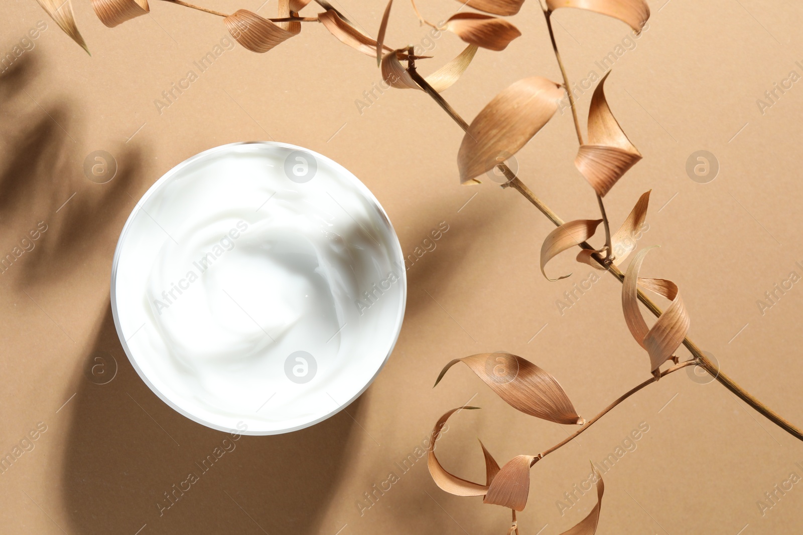 Jar of body cream and dry branches on beige background, top view Photo of Jar of body cream and dry branches on beige background, top view