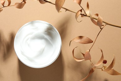 Photo of Jar of body cream and dry branches on beige background, top view