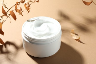 Photo of Jar of body cream and dry branches on beige background, closeup