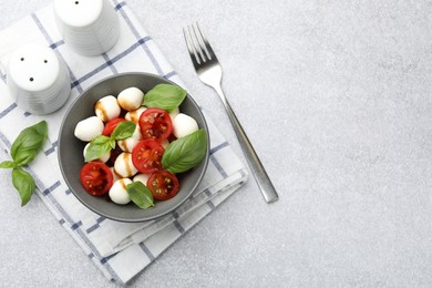 Photo of Tasty salad with mozzarella, tomatoes and basil served on light table, flat lay. Space for text