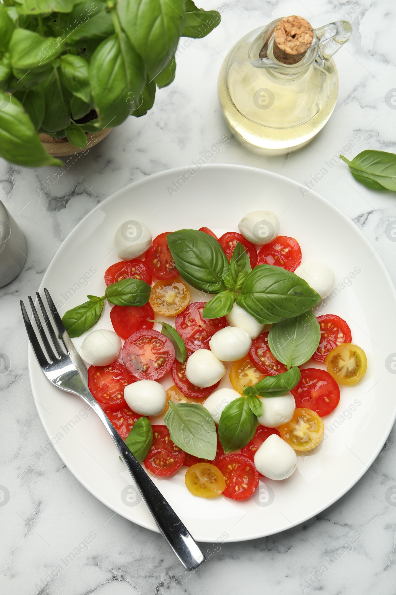 Tasty salad with mozzarella, tomatoes and basil served on white marble table, flat lay Photo of Tasty salad with mozzarella, tomatoes and basil served on white marble table, flat lay