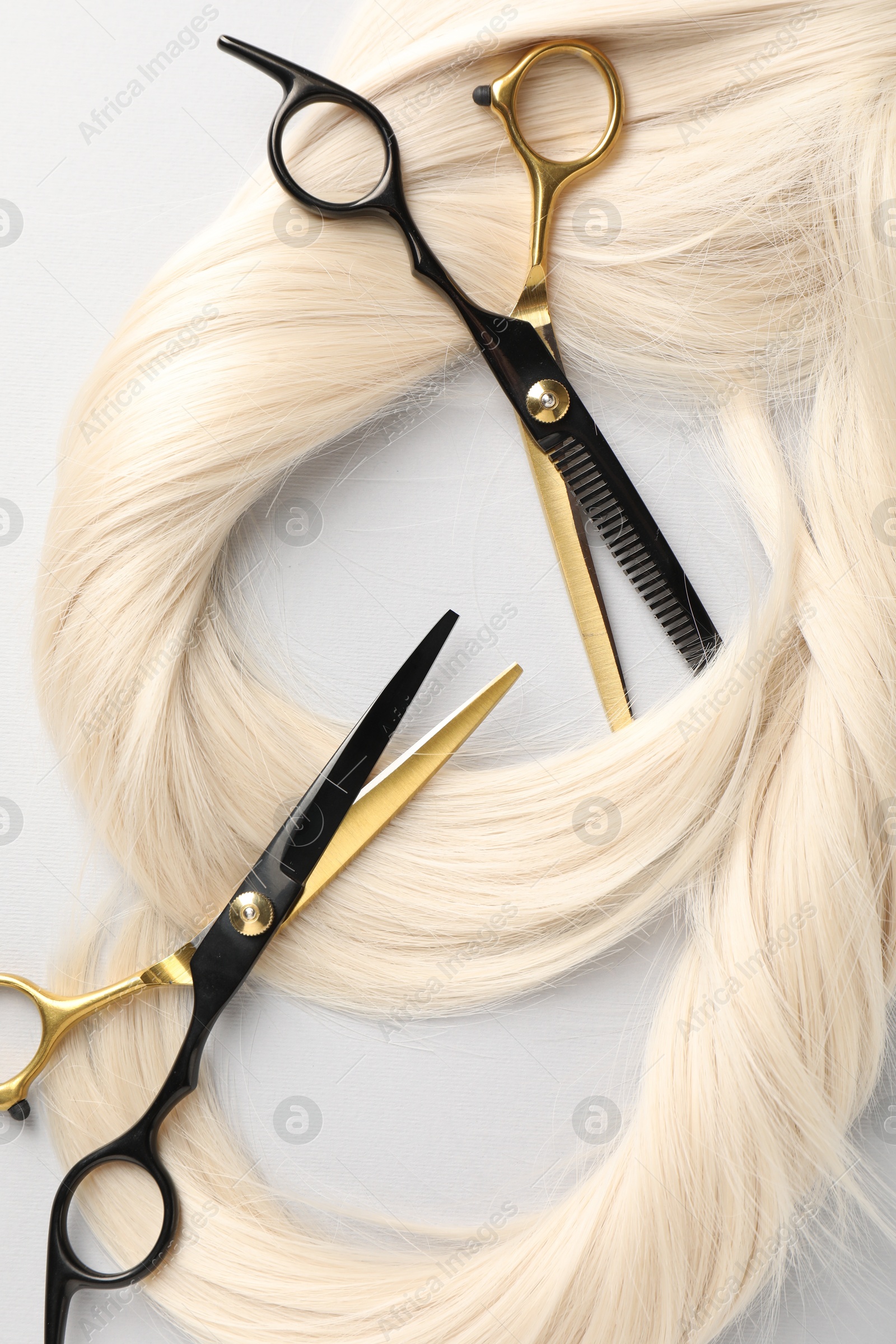Blonde hair locks and scissors on light grey background, flat lay Photo of Blonde hair locks and scissors on light grey background, flat lay