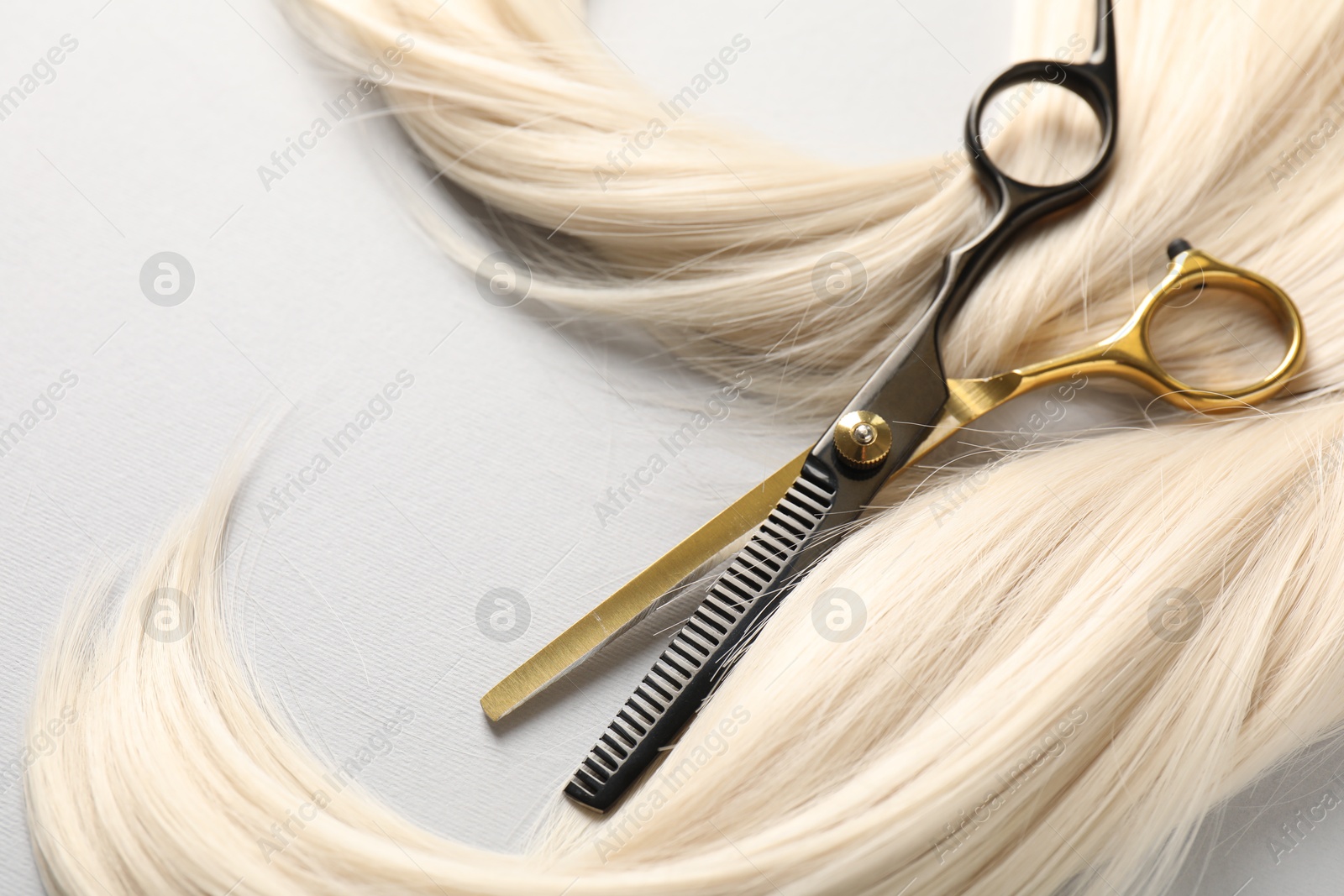 Blonde hair lock and scissors on light grey background, closeup Photo of Blonde hair lock and scissors on light grey background, closeup