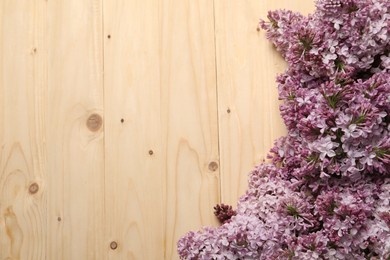 Photo of Beautiful lilac flowers on wooden table, flat lay. Space for text