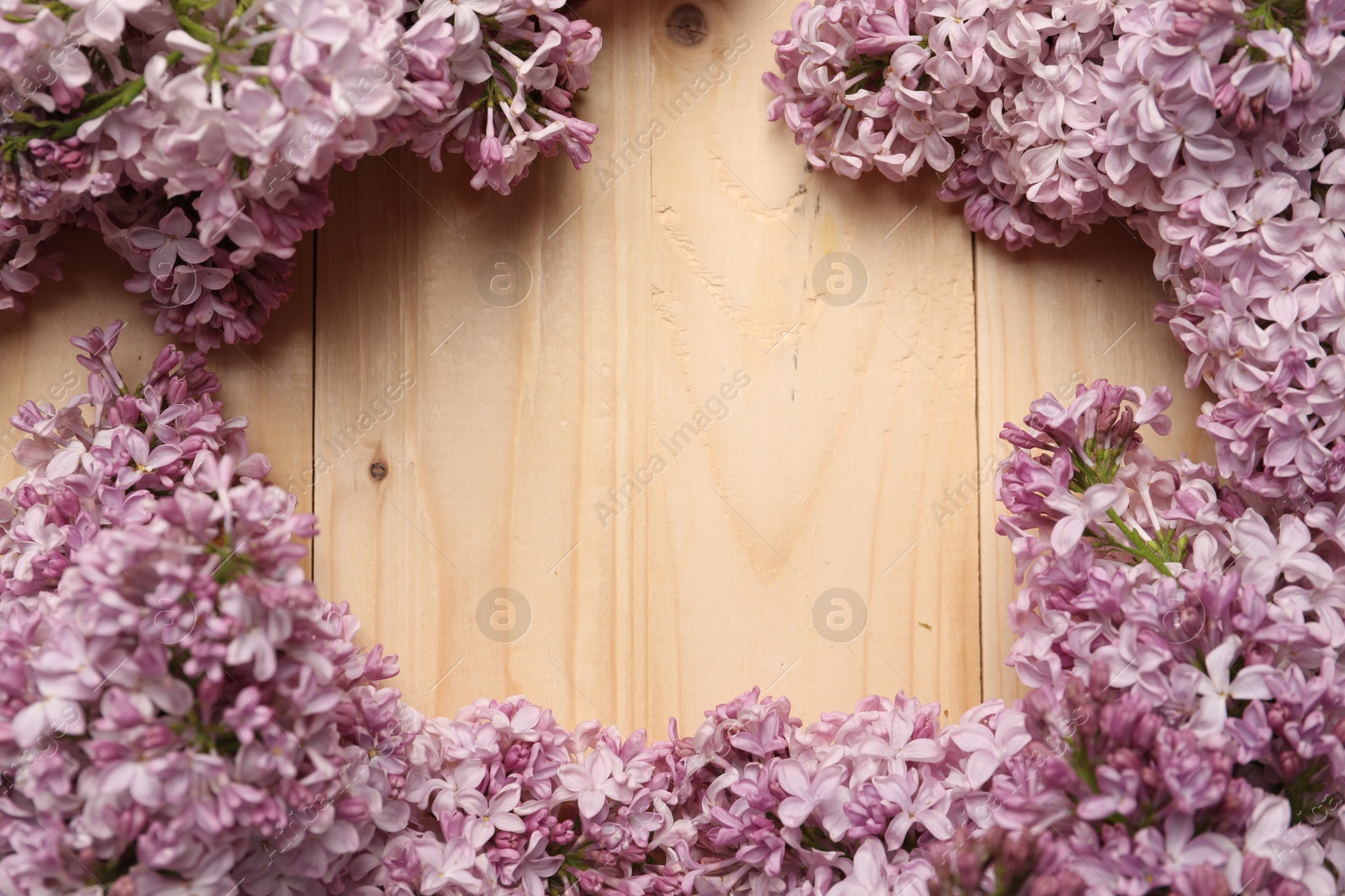 Frame of beautiful lilac flowers on wooden table, flat lay. Space for text Photo of Frame of beautiful lilac flowers on wooden table, flat lay. Space for text