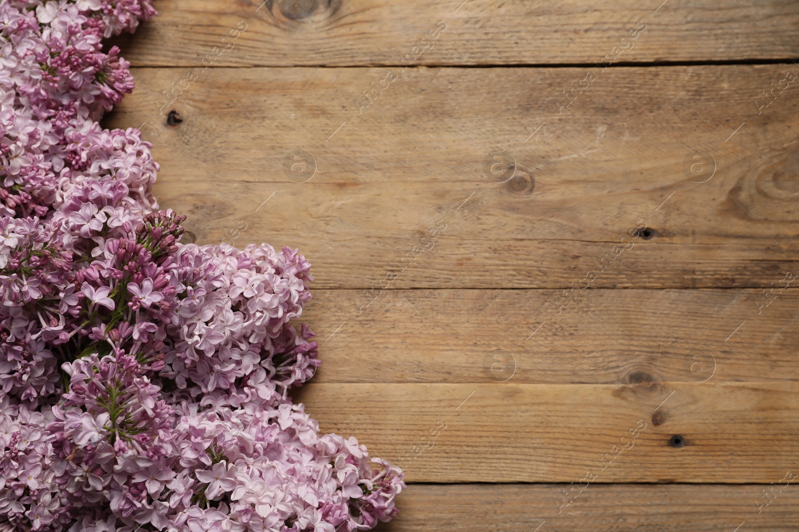 Beautiful lilac flowers on wooden table, flat lay. Space for text Photo of Beautiful lilac flowers on wooden table, flat lay. Space for text