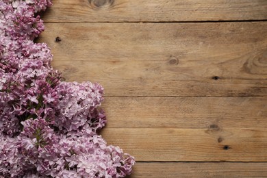 Photo of Beautiful lilac flowers on wooden table, flat lay. Space for text