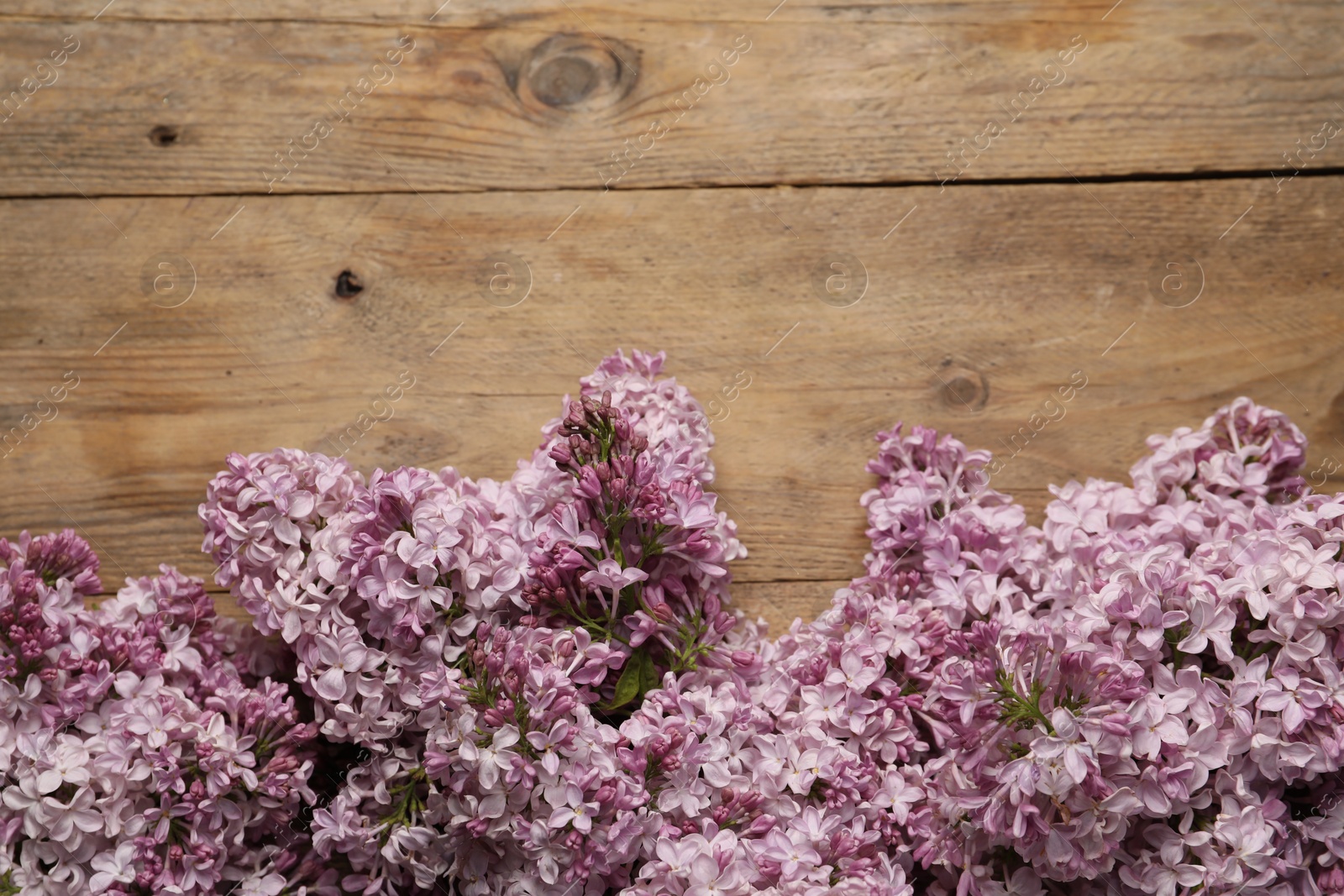 Beautiful lilac flowers on wooden table, flat lay. Space for text Photo of Beautiful lilac flowers on wooden table, flat lay. Space for text