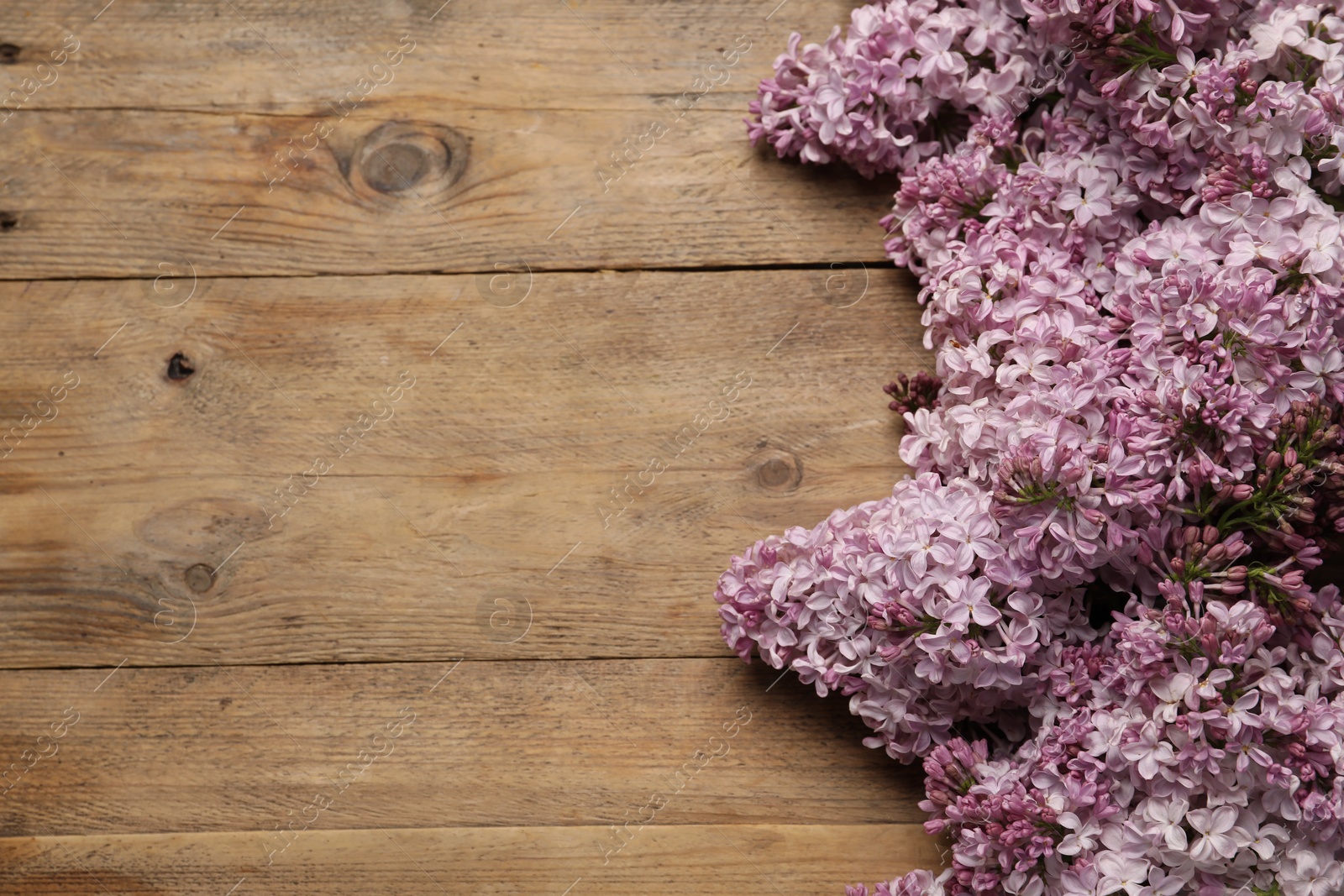 Beautiful lilac flowers on wooden table, above view. Space for text Photo of Beautiful lilac flowers on wooden table, above view. Space for text