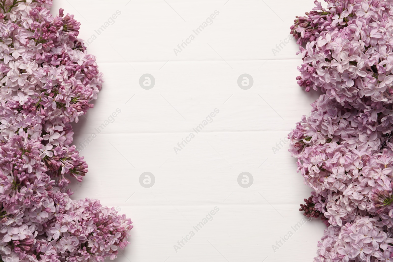 Beautiful lilac flowers on white wooden table, flat lay. Space for text Photo of Beautiful lilac flowers on white wooden table, flat lay. Space for text