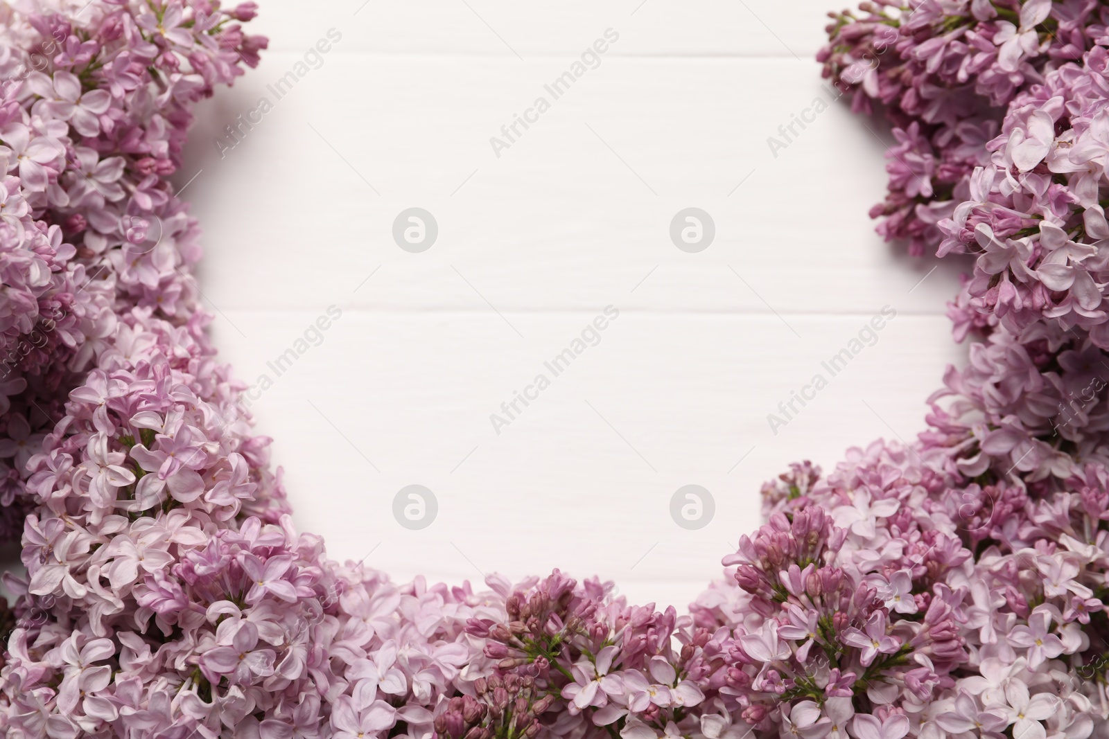 Beautiful lilac flowers on white wooden table, above view. Space for text Photo of Beautiful lilac flowers on white wooden table, above view. Space for text