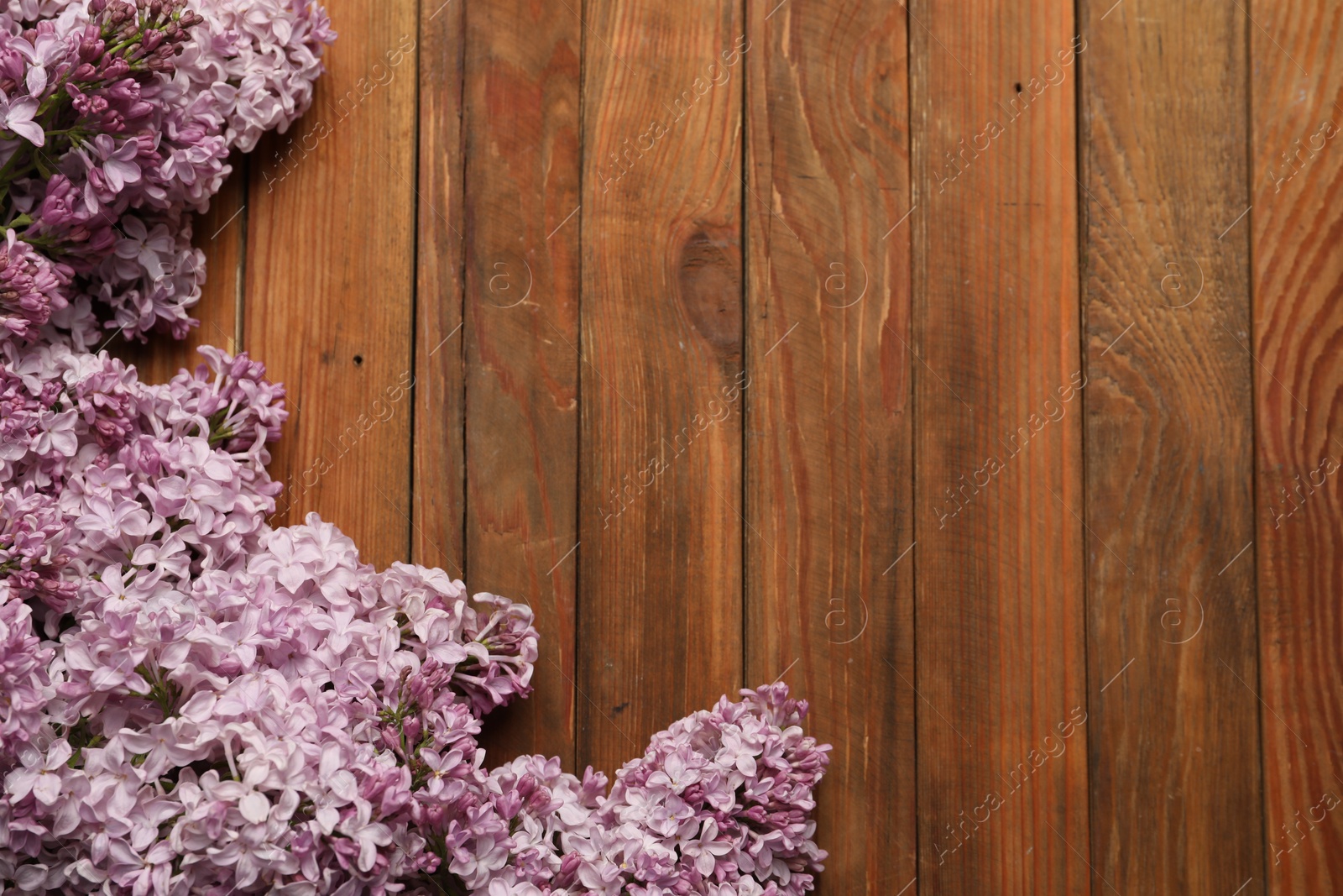 Beautiful lilac flowers on wooden table, flat lay. Space for text Photo of Beautiful lilac flowers on wooden table, flat lay. Space for text