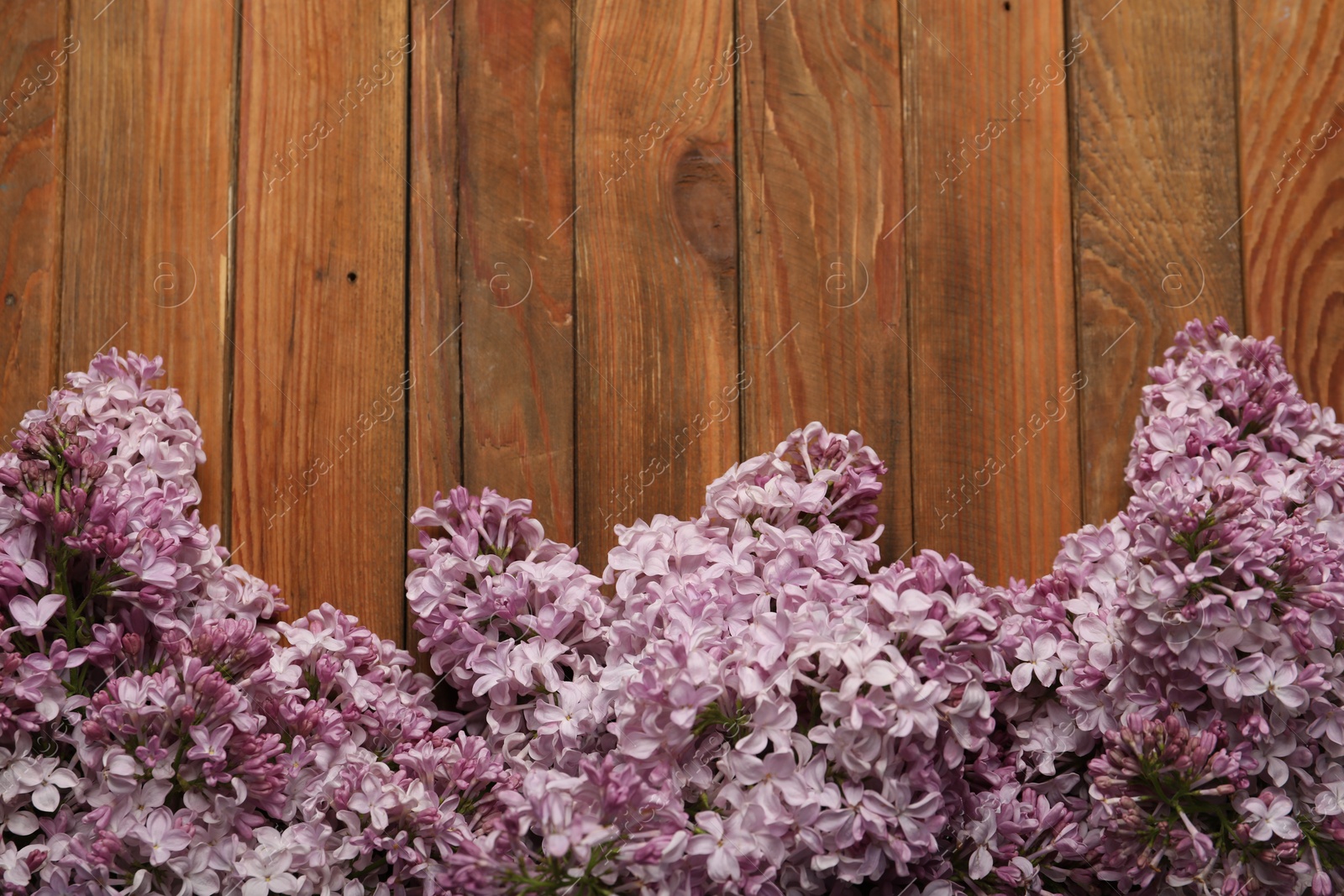 Beautiful lilac flowers on wooden table, flat lay. Space for text Photo of Beautiful lilac flowers on wooden table, flat lay. Space for text