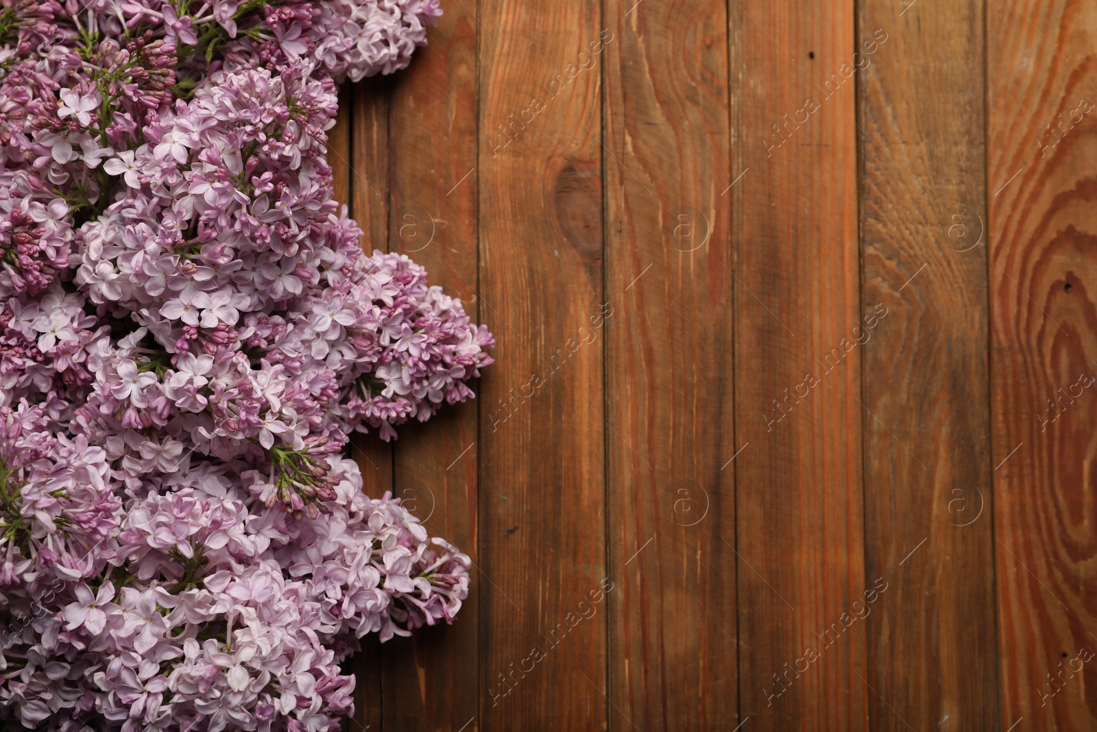 Beautiful lilac flowers on wooden table, flat lay. Space for text Photo of Beautiful lilac flowers on wooden table, flat lay. Space for text
