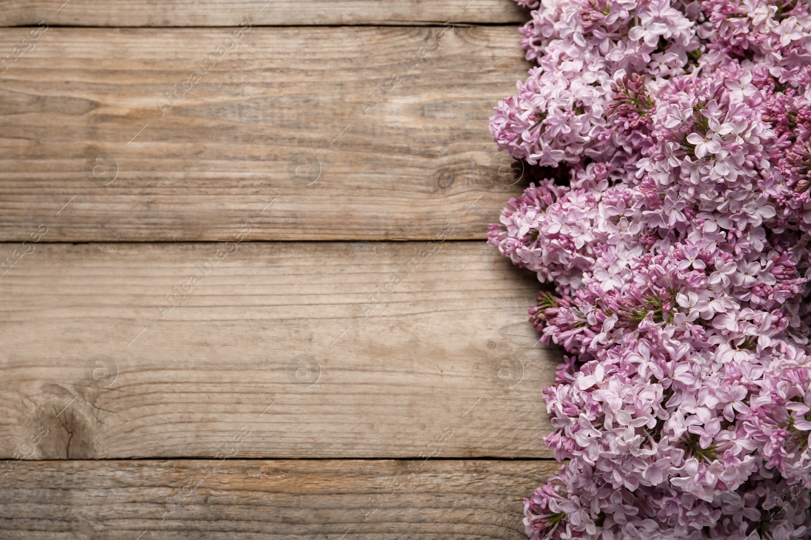 Beautiful lilac flowers on wooden table, flat lay. Space for text Photo of Beautiful lilac flowers on wooden table, flat lay. Space for text