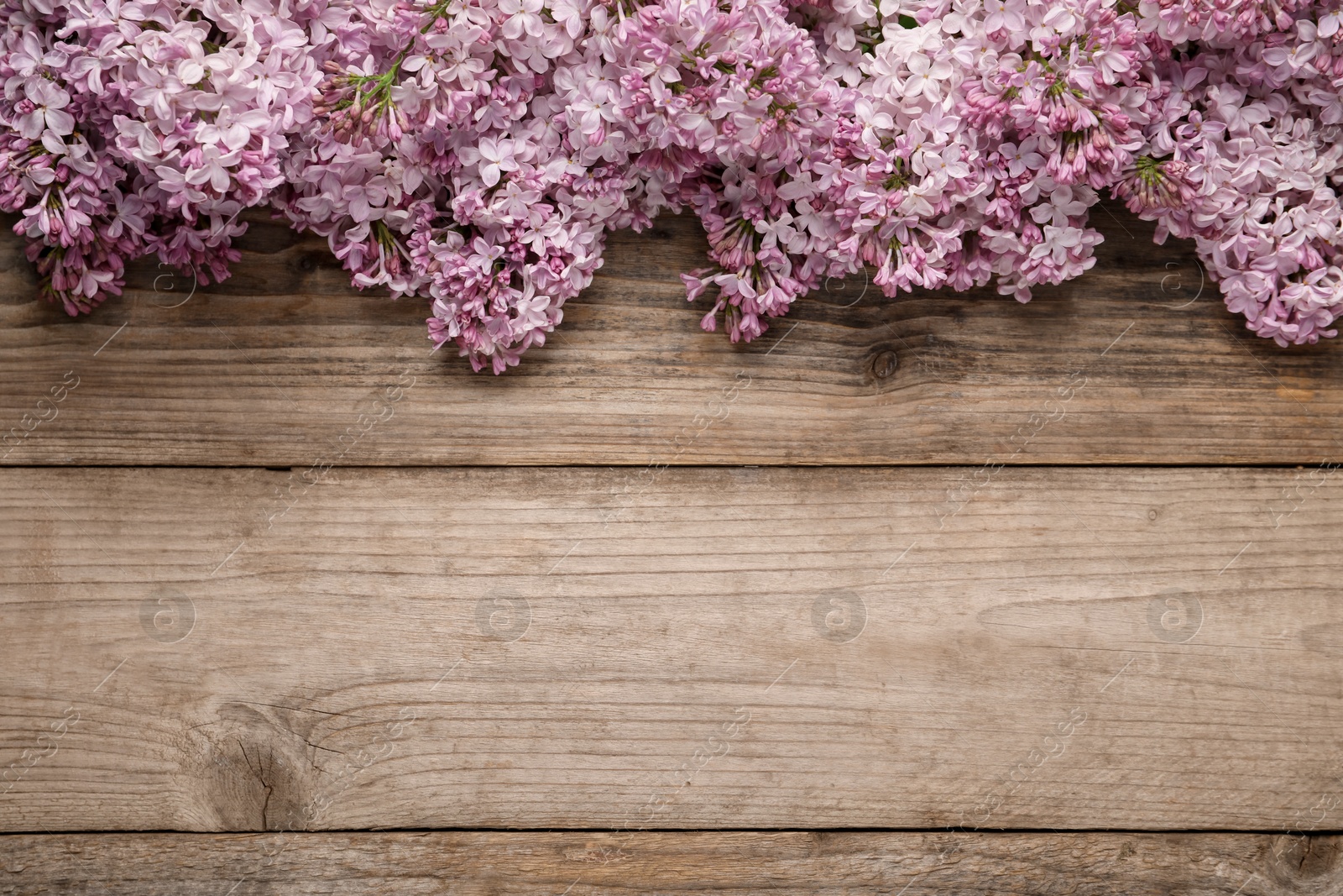 Beautiful lilac flowers on wooden table, flat lay. Space for text Photo of Beautiful lilac flowers on wooden table, flat lay. Space for text