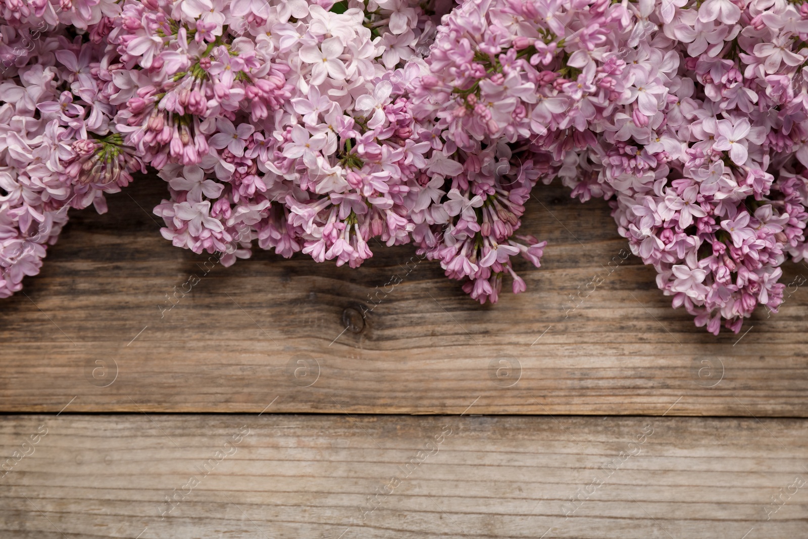 Beautiful lilac flowers on wooden table, flat lay. Space for text Photo of Beautiful lilac flowers on wooden table, flat lay. Space for text