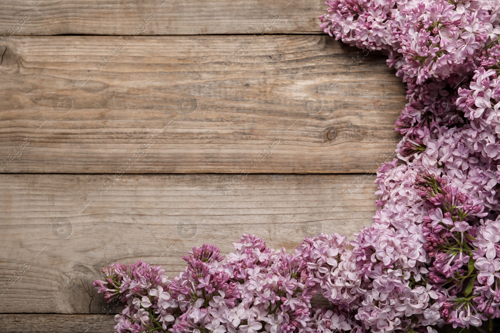 Beautiful lilac flowers on wooden table, flat lay. Space for text Photo of Beautiful lilac flowers on wooden table, flat lay. Space for text