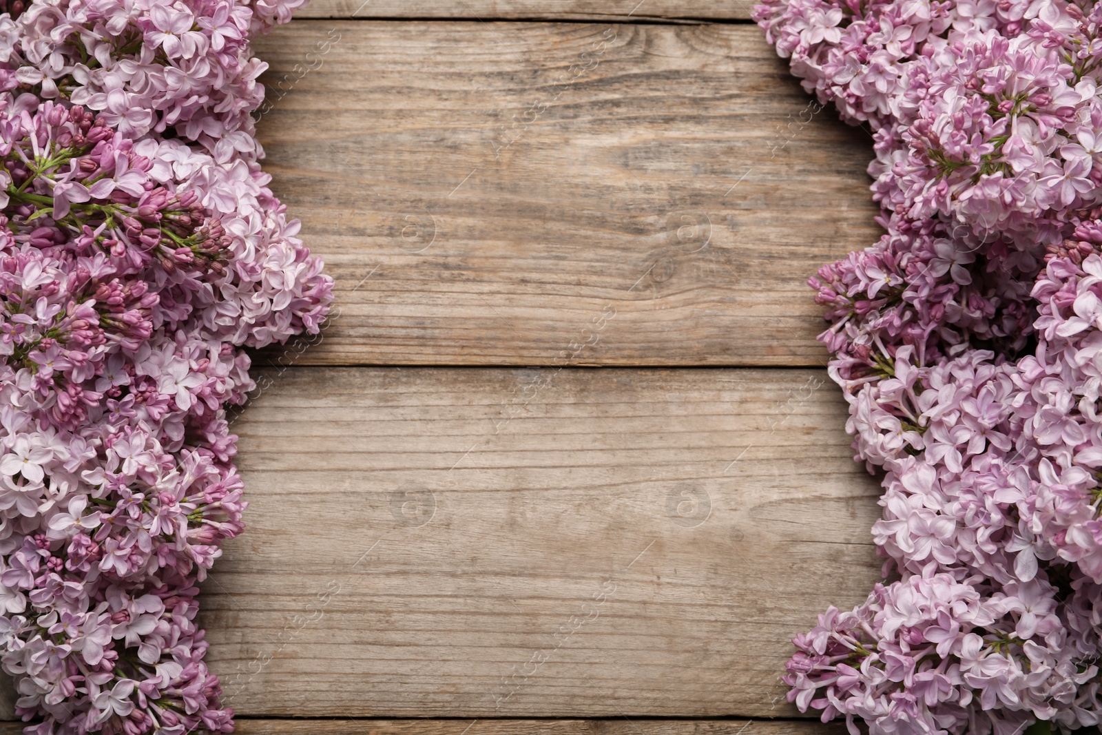 Beautiful lilac flowers on wooden table, flat lay. Space for text Photo of Beautiful lilac flowers on wooden table, flat lay. Space for text