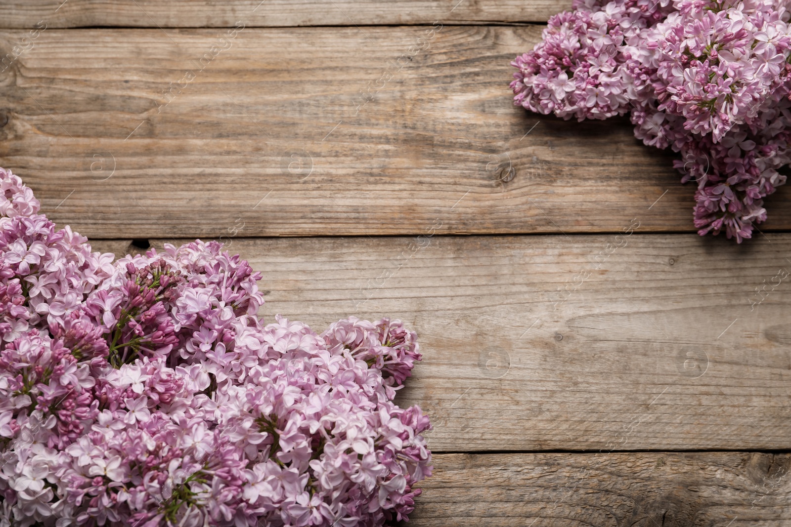 Beautiful lilac flowers on wooden table, flat lay. Space for text Photo of Beautiful lilac flowers on wooden table, flat lay. Space for text