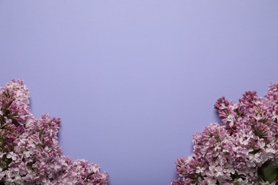 Photo of Beautiful lilac flowers on violet background, flat lay. Space for text