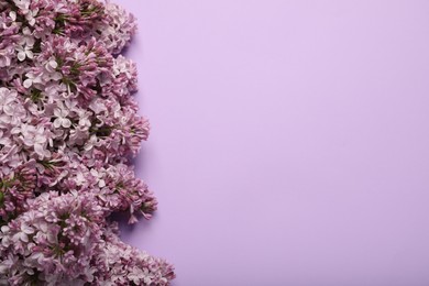 Photo of Beautiful lilac flowers on color background, above view. Space for text