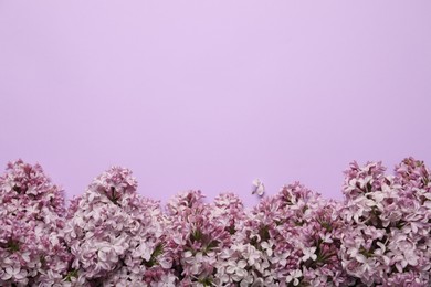 Photo of Beautiful lilac flowers on color background, flat lay. Space for text