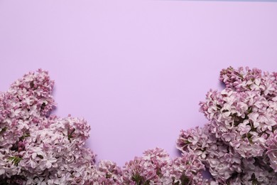 Photo of Beautiful lilac flowers on color background, flat lay. Space for text