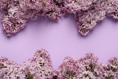 Photo of Beautiful lilac flowers on color background, flat lay. Space for text