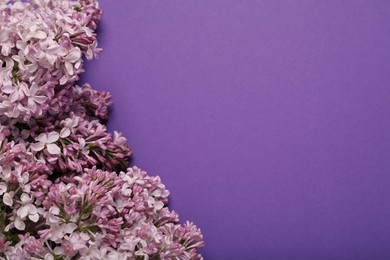 Photo of Beautiful lilac flowers on purple background, above view. Space for text