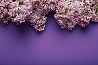Photo of Beautiful lilac flowers on purple background, flat lay. Space for text