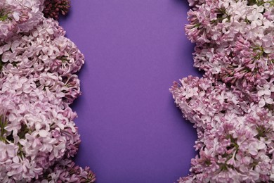 Photo of Beautiful lilac flowers on purple background, above view. Space for text