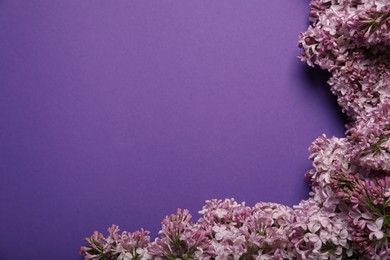 Photo of Beautiful lilac flowers on purple background, flat lay. Space for text
