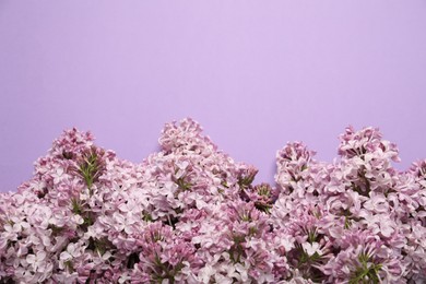 Photo of Beautiful lilac flowers on color background, flat lay. Space for text