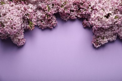 Photo of Beautiful lilac flowers on color background, flat lay. Space for text