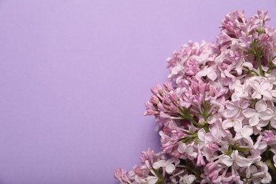 Photo of Beautiful lilac flowers on color background, above view. Space for text