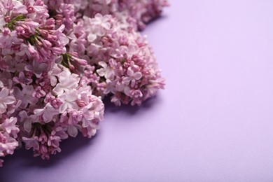 Photo of Beautiful lilac flowers on color background, closeup. Space for text