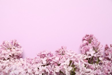 Photo of Beautiful lilac flowers on pink background, above view. Space for text