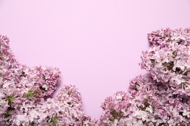 Photo of Beautiful lilac flowers on pink background, flat lay. Space for text